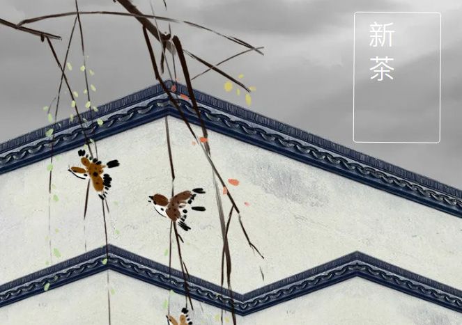 太極莊新菊上市！白菊婉清顏，芳香滿庭院